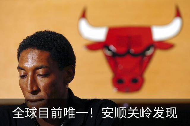全球目前唯一！安顺关岭发现